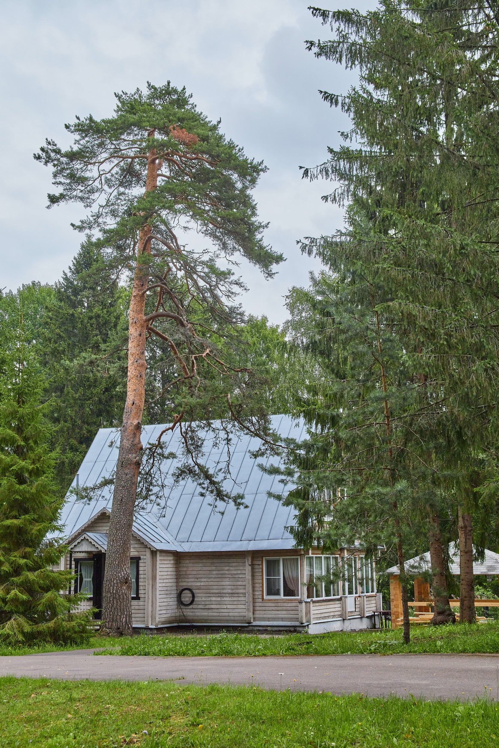 Домик в соснах
